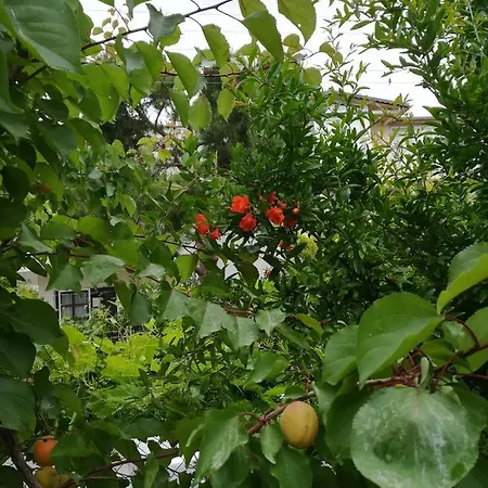 וילה Mustakil Konaklama Doganbey (Izmir)